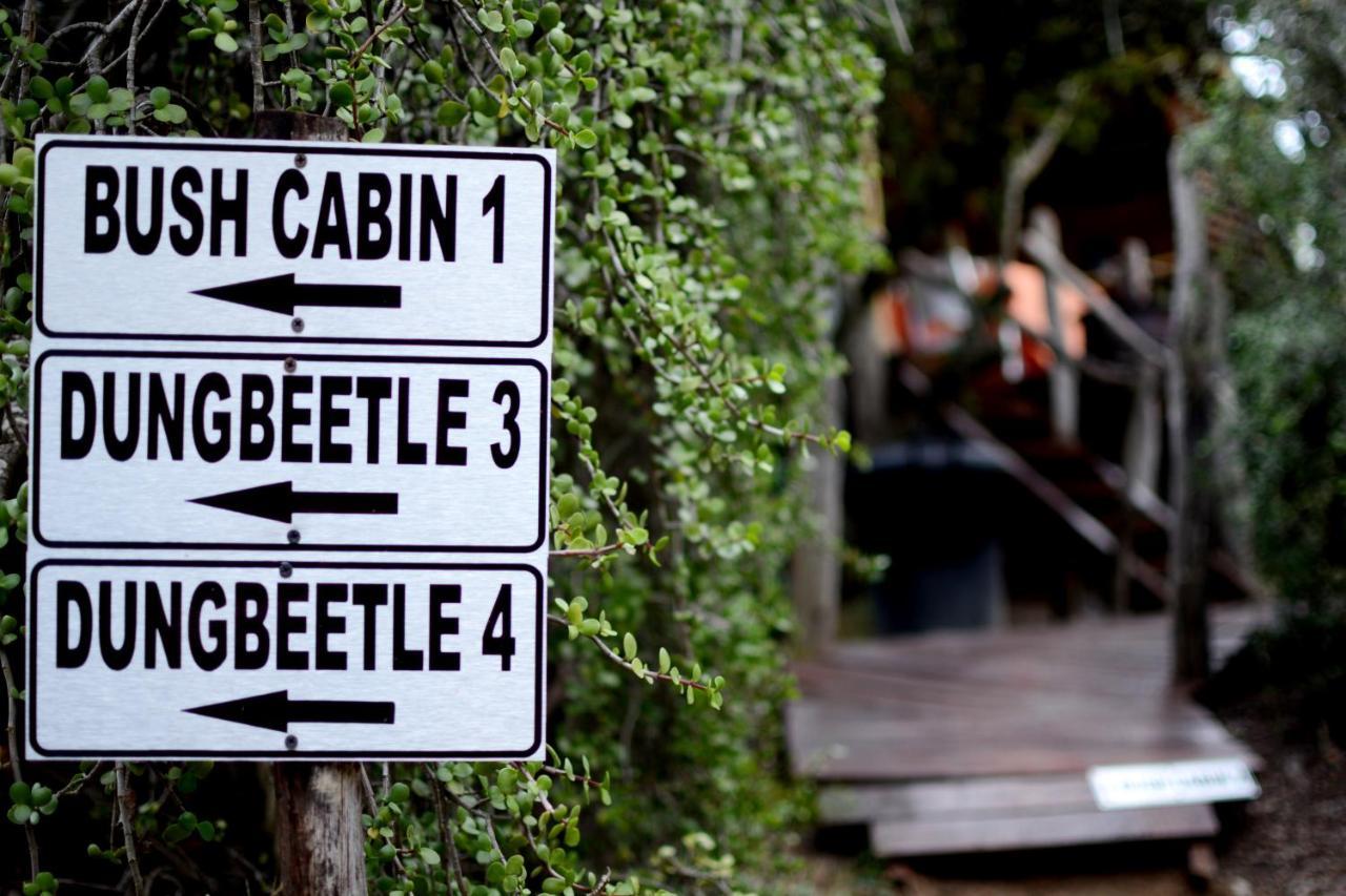Addo Dung Beetle Guest Farm Villa Exterior foto